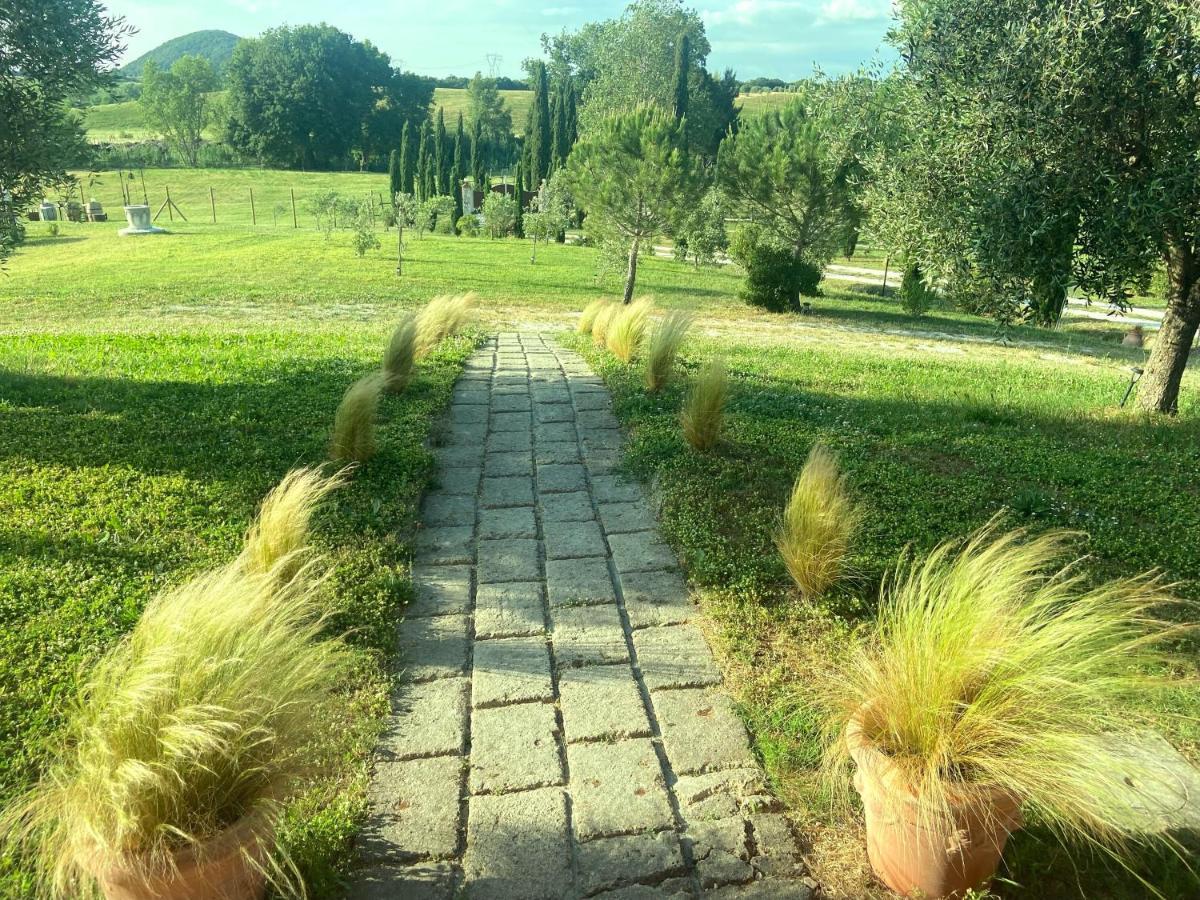 Bed And Breakfast Casale Del Sole Castellina Marittima Eksteriør bilde